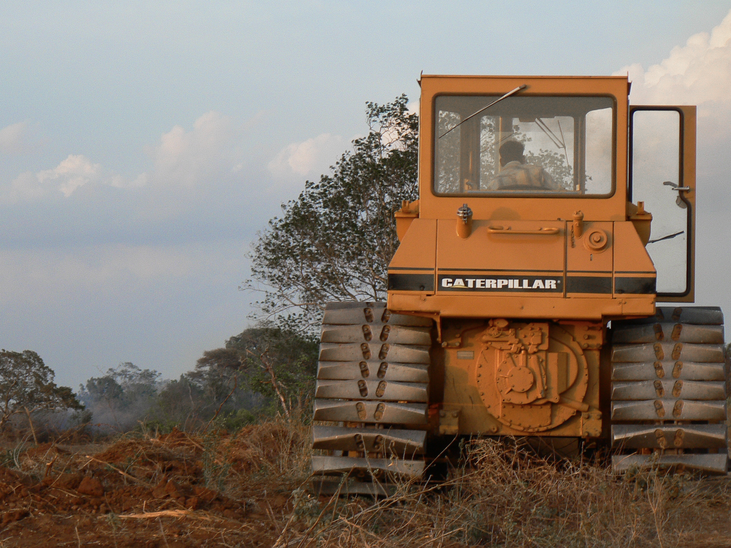 Degraded plantation landscape